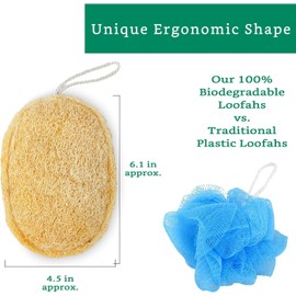 Natural Loofah Exfoliating Sponge (Pack of 3) - Loofa Exfoliating Body Scrubber - Biodegradable Organic Loofah Sponge - Shower Luffa Sponges - Shower Lufa (Oval)