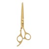 Hair Cutting Thinning Scissors Set Stainless Steel Hairdressing Haircut Stylish