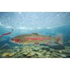 350 Pieces Artificial Bait Worm Earthworms Fishing Bait Box Set,