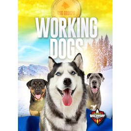 Working Dogs (Dog Groups)
