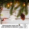 hellum Colourful Fairy Lights Indoor 35, 5.1 m Illuminated Length,
