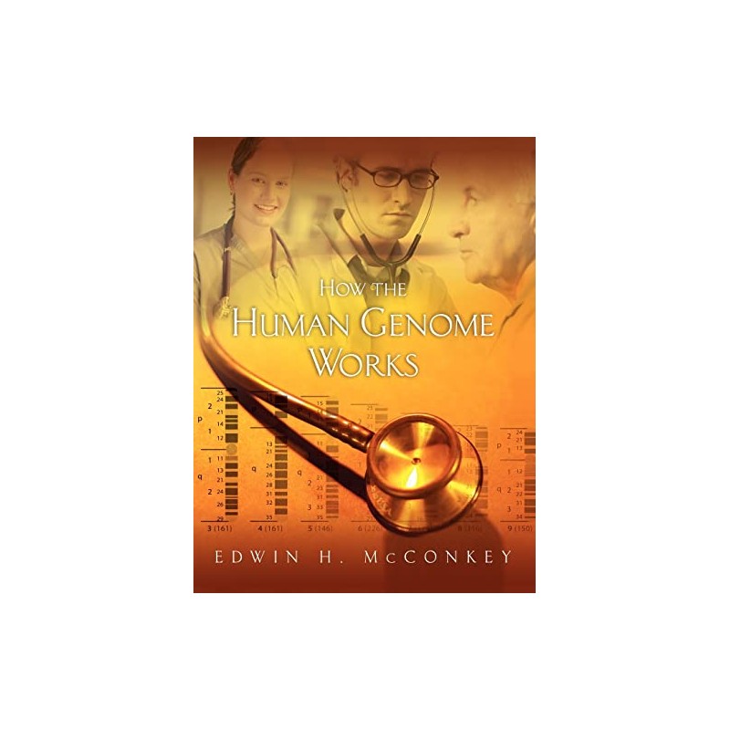 How the Human Genome Works