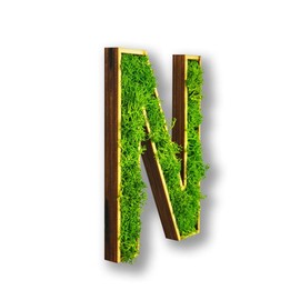 Acryltypo Moosly® Wooden Letter - N - with Wooden Frame, Moss Decorative Letters Sign Symbol Number - Wooden Letter with Real Iceland Moss - Wall Pictures Living Room Decoration Wall Pictures Living