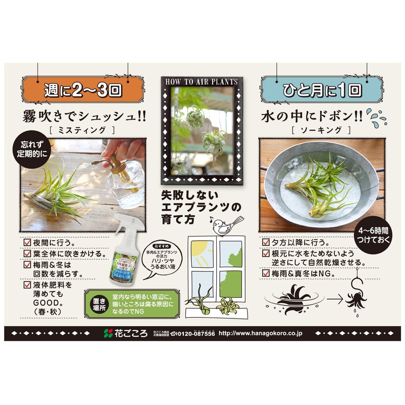 Hanagokoro Succulent & Air Plants Vitality Hari Gloss Moisturizing Liquid,