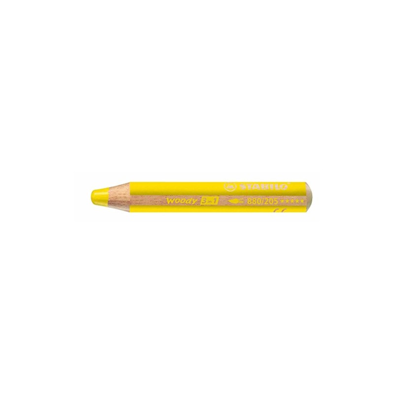 Stabilo Set of 12 Watercolour Pencils Woody Large Round 10