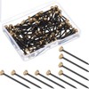 100 Pcs Picture Hanging Nails with Plastic Storage Box -