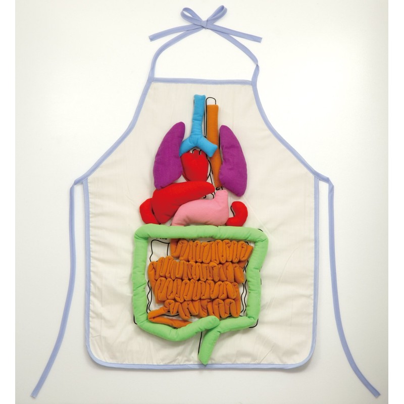 Anatomy Apron