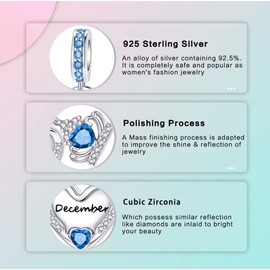 Birthstone Charms, December Charm Sterling Silver 925, Red Crystal Womens Dangle Bead for European Bracelets and Necklaces with 5A Cubic Zirconia, Birthday Mothers Day Jewelry Gifts for Women