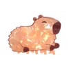 Funny Acrylic Capybara Hair Clips,Cute Acrylic Animal Claw Clip,Small Claw
