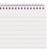 Blueline Reporter Notebook / Note Pad, 4 x 8 inches,