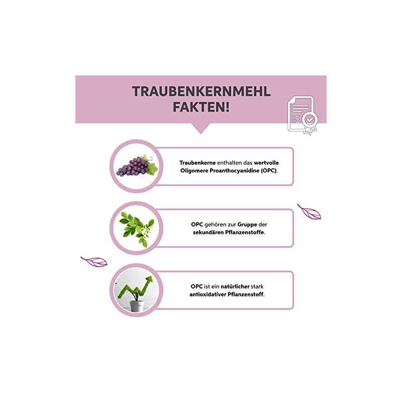 eltabia Bio Traubenkernmehl OPC 1kg Traubenkern Extrakt Pulver Premium Rohkost