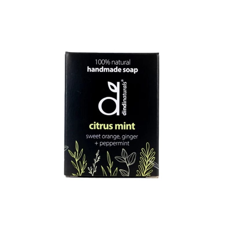 Dindi Naturals Boxed Soap Bar 110g - Citrus Mint