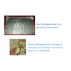 APERFECT Joss Paper Ancestor Money, Silver, Chinese Joss, Money, Joss