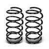 A-Premium 2Pcs Front Suspension Coil Spring Set Compatible with Ford