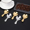 Binxus 10 Pcs Stainless Steel Mini Round Spoons Gold &