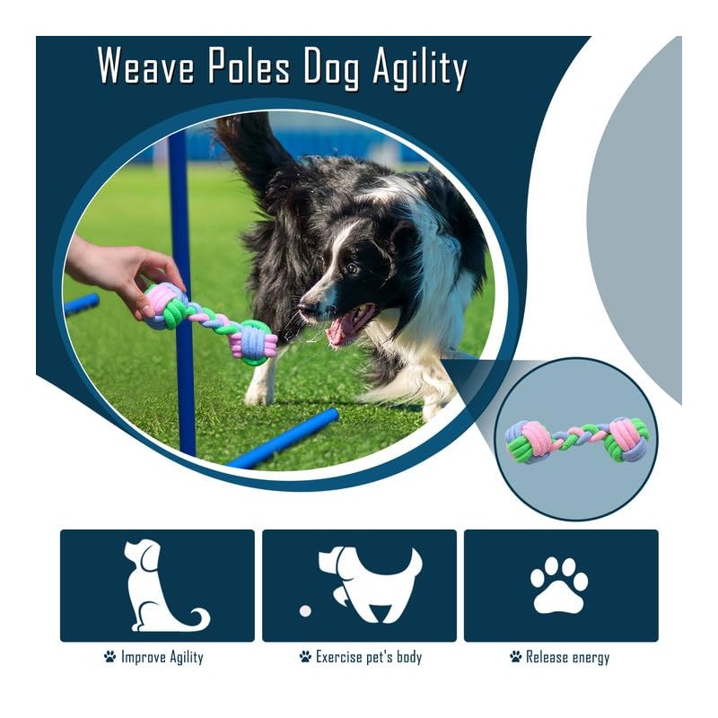 Dog Agility Course Backyard Set, Dog Agility Equipment, Portable Agility