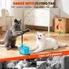 Interactive Cat Toys For Indoor Cats, 360° Flying Automatic Cat