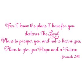 48"x20" for I Know The Plans I Have for You Declares The Lord Plans to Prosper You and Not to Hard You Plans to Give You Hope and A Future Wall Decal Sticker Color Choices