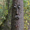 Old Man Tree Hugger Garden Peeker Yard Outdoor Sculpture Whimsical