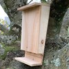 Selections Wooden Bat Box with Landing Perch