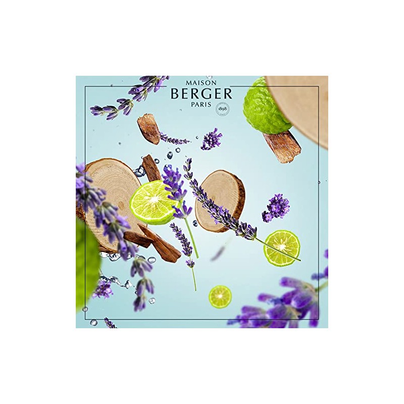 MAISON BERGER Fresh Wood Scented Bouquet Refill 200ml