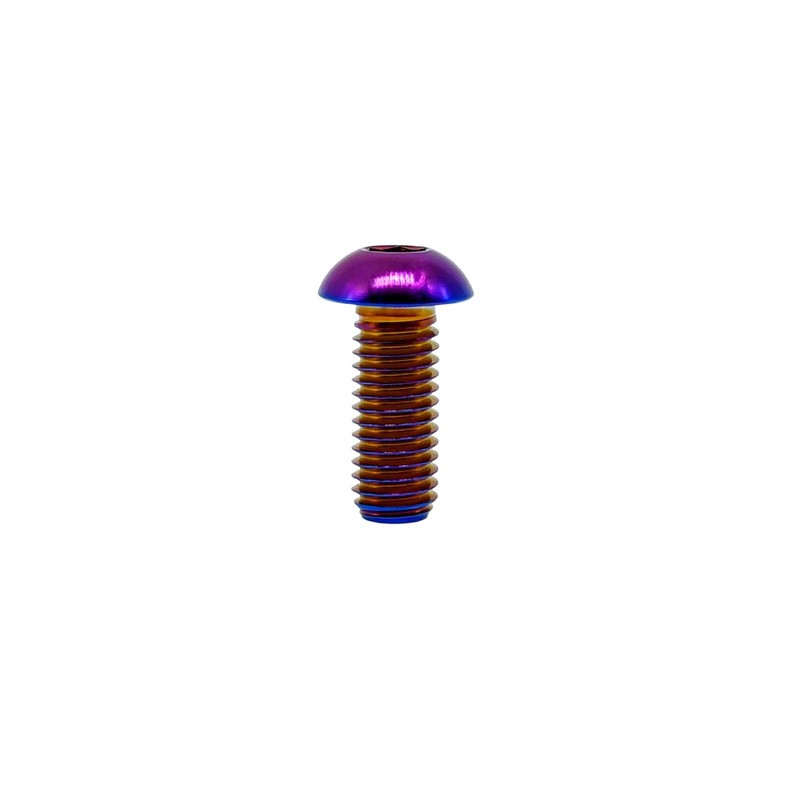 RISON-Titanium M5X10mm Titanium Screws, Pack of 5, Burnt Blue, Button