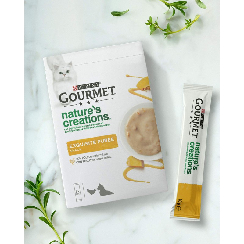 GOURMET Pure Salmon 11X5X10GR