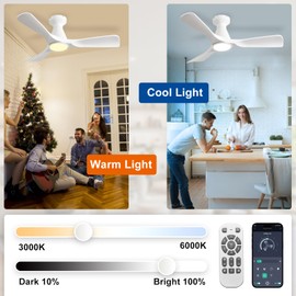 DINGLILIGHTING Ceiling Fans with Lights and APP: Flush Mount Low Profile Ceiling Fan for Bedroom - Dimmable Remote Control White Timer