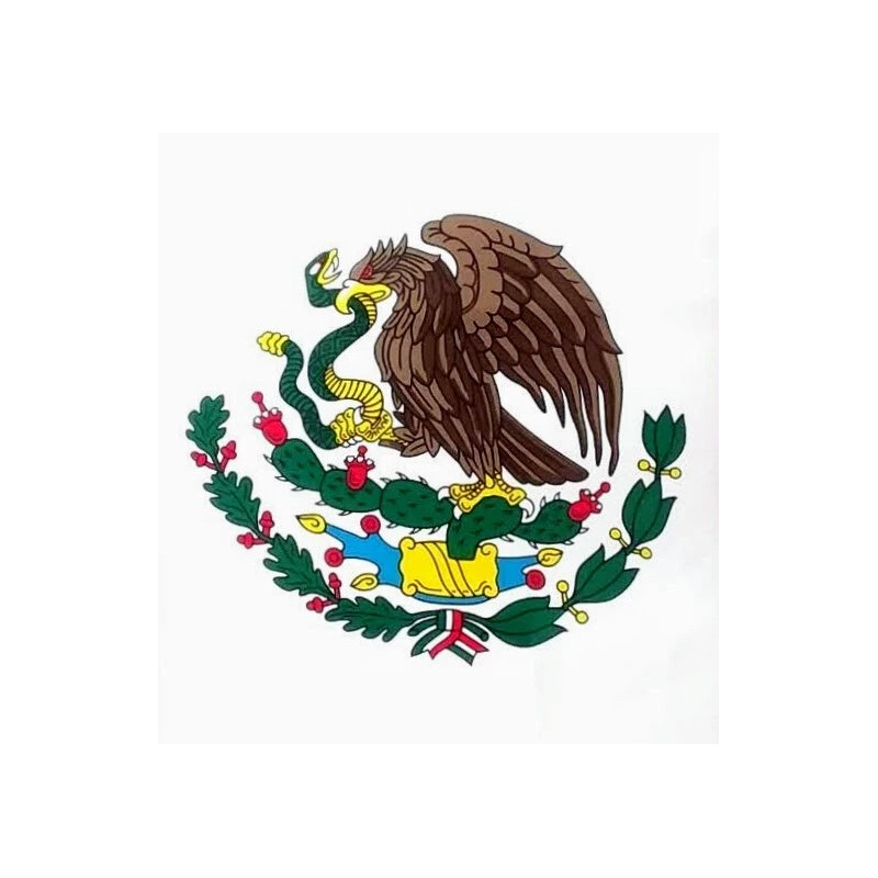 100% 2 Big 6 Foot Mexico Flag Double Sided Double