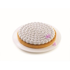 Silikomart 23.201.13.0065 Kit Tarte Meringué Mould, Non-Stick Plastic Material and Silicone, Grey