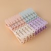 Pastel Clothespins 20-piece Set LMCF-0084 6ea
