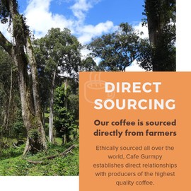 Café Grumpy Drip Grind Single Origin Coffee - Guatemala, 12oz Bag, Medium Roast, Drip, French Press, Pour Over, Cold Brew (Medium Grind (Filter/Drip))