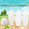 Unbranded 3.9Inch 30PC 10CM Long Cuttlebone Bone Sepia Fish Bird