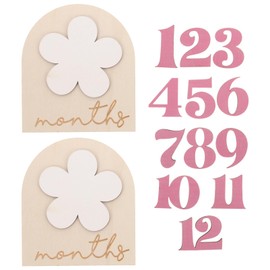 STOBOK Baby Monthly Milestone Cards Sign 1-12 Month Wooden Discs Newborn Photography Props Pregnancy Journey Birth Announcement Sign