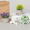 6 Piezas de Plantas Artificiales Mini Macetas,Fake Planta de Plástico,Flor