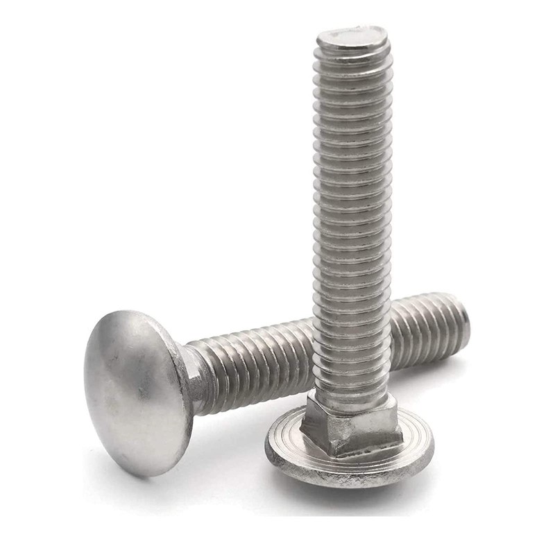 20 Sets Long Square-Neck Carriage Bolts Set,Carriage Bolts Set w/Nuts