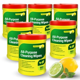 RTS Companies Inc All-Purpose Cleaning Wipes, Citrus Scent, Biodegradable, Multi-Surface, 160 Wipes (6 Pack)