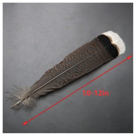 Turkey Feathers ZZHXSM 10pcs Natural Turkey Feathers Clothing, Hats, Holiday Decoration, 10-12 Inches/25-30cm Turkey Tail Feathers
