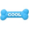AB Tools 5PK 5.5" Chillout Cool Bone Dog Toy Heat