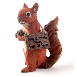 Sandy the squirrel 20cm Resin Garden ornament