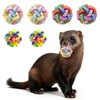 BingegePet Ferret Toys 6-Pack with Bells – Colorful Interlocking Ball