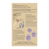 Revlon Color Effects Highlighting Kit, Permanent Hair Dye, For Balayage,