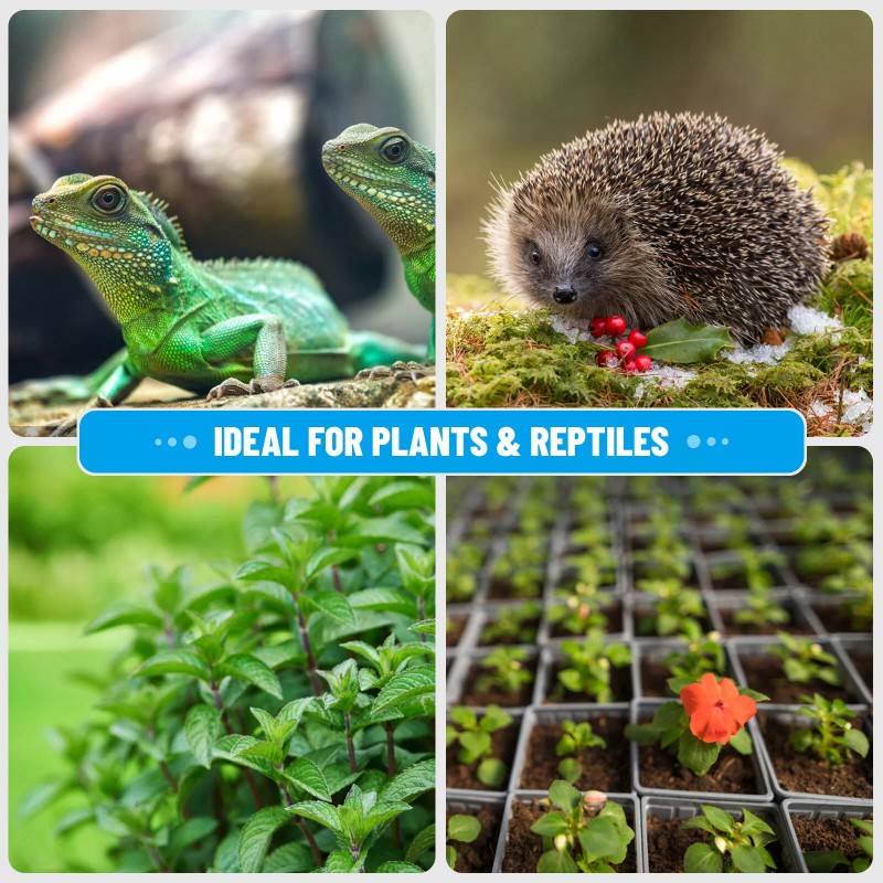 INKBIRD Wifi Temperature Controller Thermostat Switch Dual Output Seedling Heat