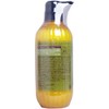 Phoenix Honeysuckle Honey Treatment Shampoo, 16.9 fl oz (500 ml)