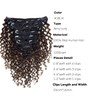 Loxxy Clip in Human Hair Extensions Jerry Curly #1B/4 color