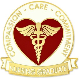 PinMart's Nursing Student Graduate Gift Caduceus Red Heart Jewelry Lapel Pin – 1 Piece