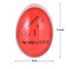 Provone 3pcs Egg Timer, Thermometer Color Changing Indicator Boiling Eggs