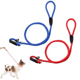 2 Pack Heavy Duty Slip Leads Dog Leashes, Adjustable Dog No Pull Training Leads Leashes Strong Nylon Rope Slip Loop Leash for Small, Medium Dogs, 10mm x 135cm (Blue, Red)