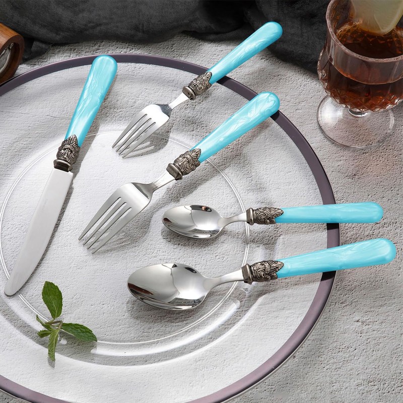 CATHYLIN 20 pieces 18/10 Stainless Steel Silverware Sets With Blue