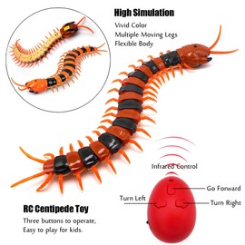 Tipmant Simulation RC Centipede Scolopendra Realistic Remote Control Vehicle Car Animal Insect Large Size Electric Prank Toy Kids Christmas Birthday Gifts (Orange Striped)